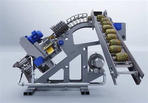 pineapple processing machinery|167 Ginaca Pineapple Processing Machine .